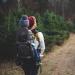 Going on a hike: useful tips